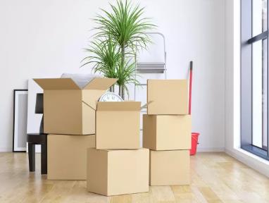 1637879734180459.jpg 116.jpg